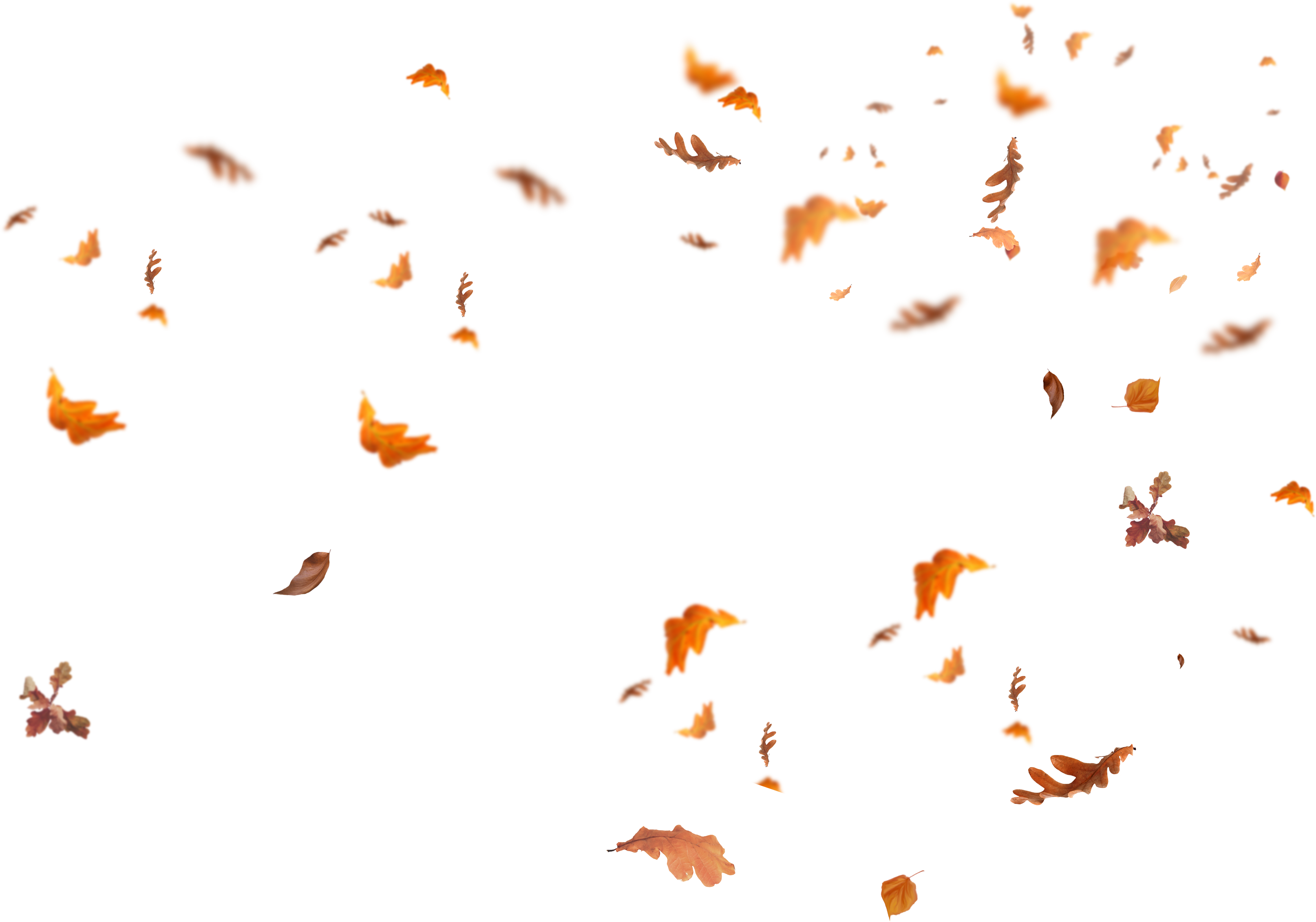 Autumn PNG Isolated Pic