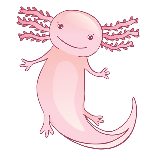 Axolotl Download PNG Image