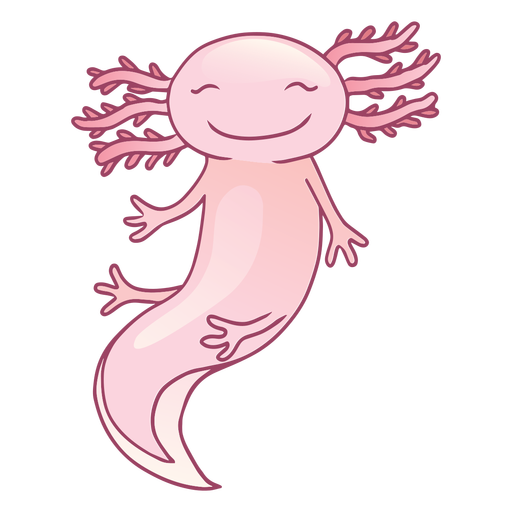 Axolotl PNG Photos