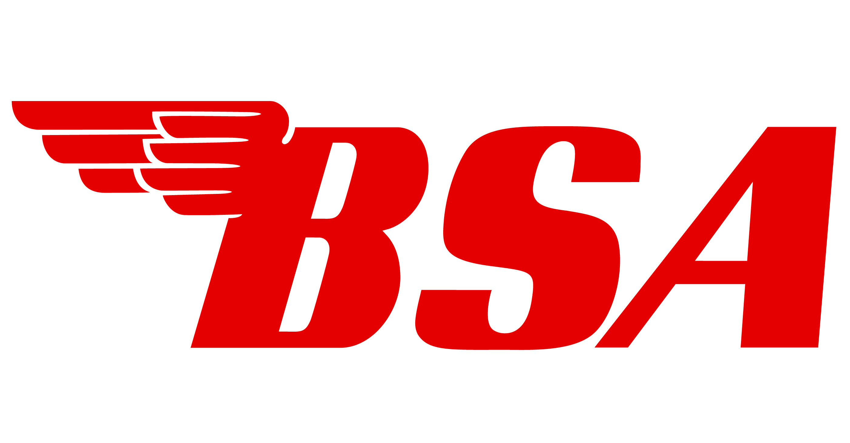 BSA Company PNG