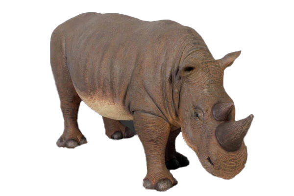 Baby Rhino PNG Image