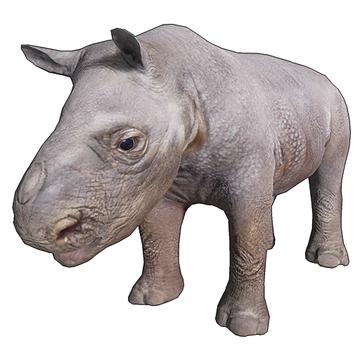 Baby Rhino PNG Photo