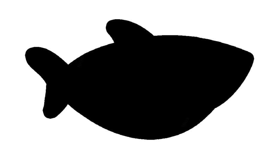Baby Shark PNG Isolated Clipart