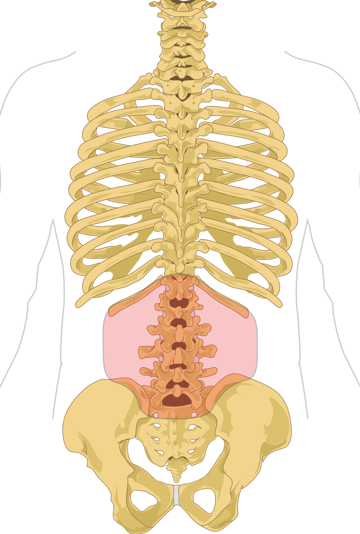 Backpain PNG Clipart