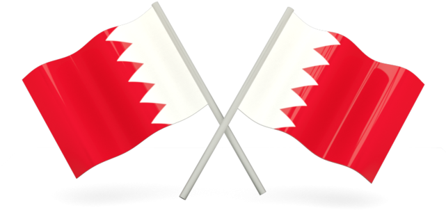 Bahrain Flag PNG Isolated Photo