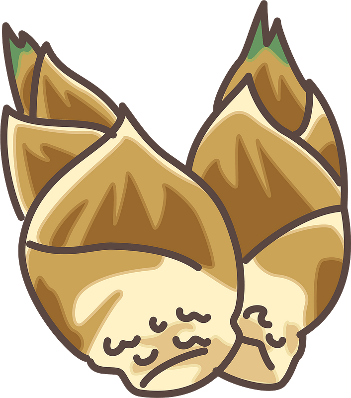 Bamboo shoot PNG HD Isolated