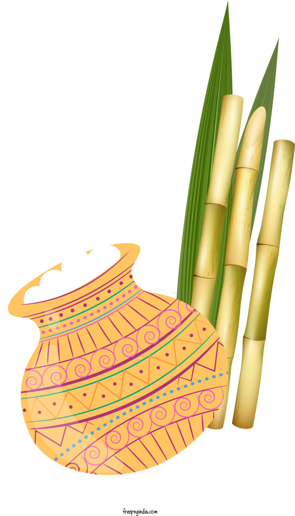 Bamboo shoot PNG Isolated HD