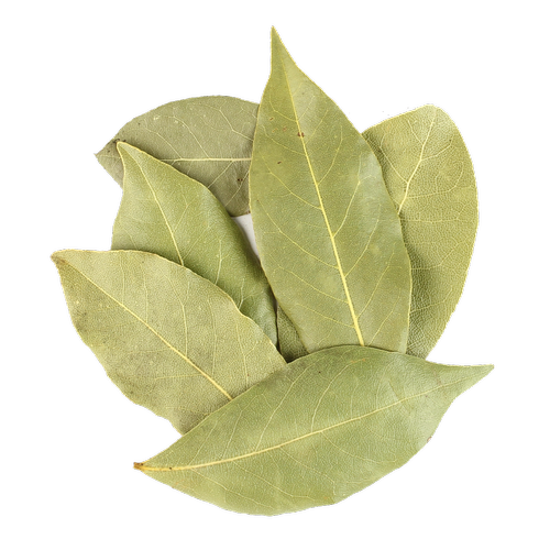 Bay leaves PNG File