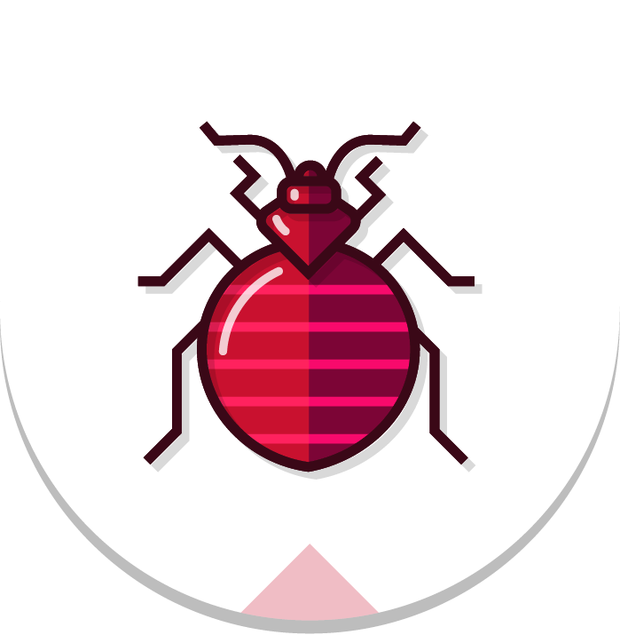 Bed Bugs PNG Image
