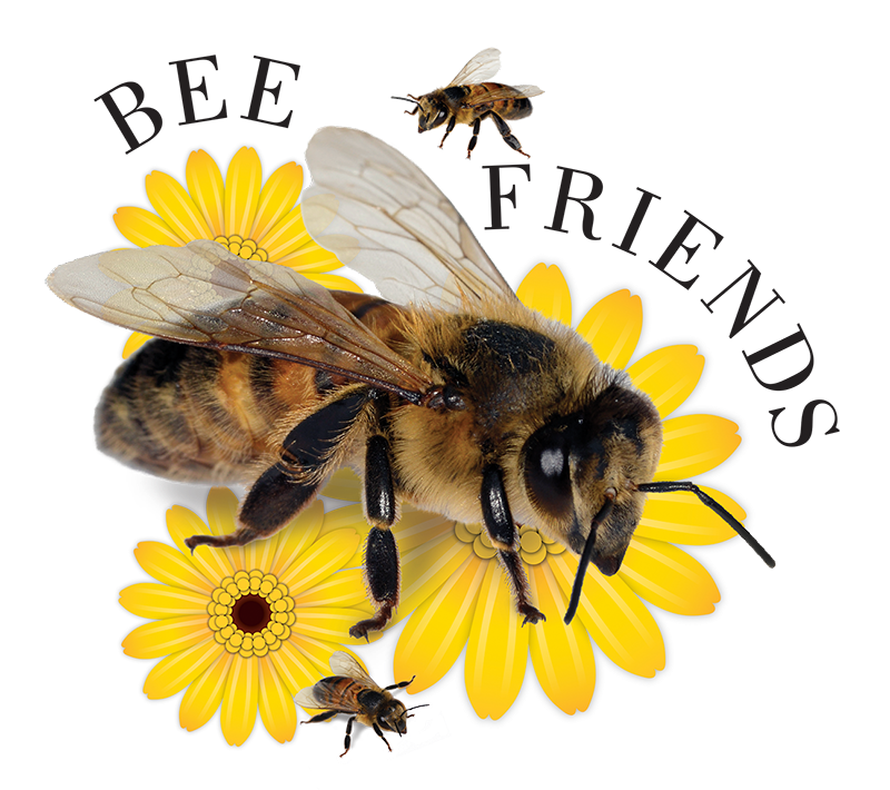 Bee Honey PNG Isolated Image