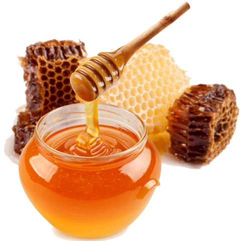 Bee Honey PNG Isolated Pic
