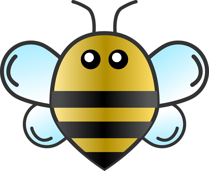 Bee Honey PNG Transparent