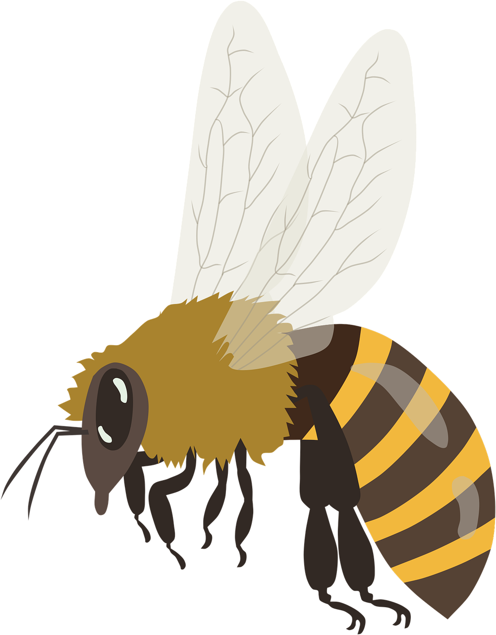 Bees PNG Isolated Image