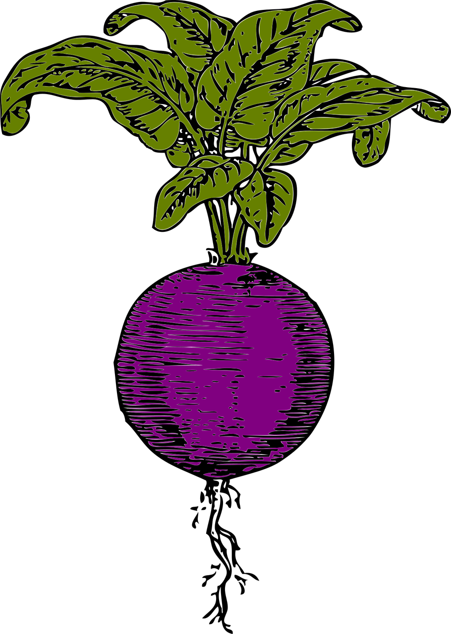 Beetroot PNG Image