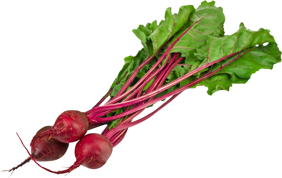 Beetroot PNG Isolated Photo