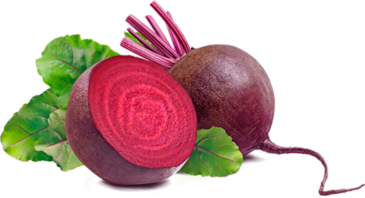 Beetroot PNG Isolated Photos