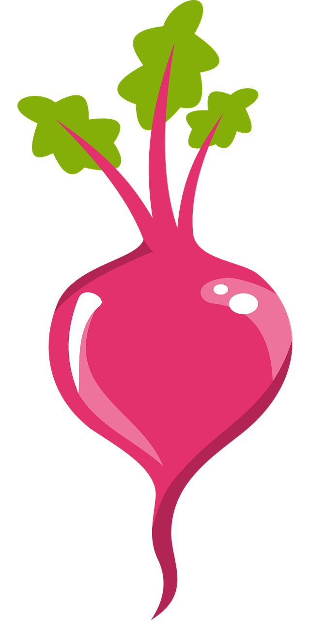 Beetroot PNG Isolated Pic