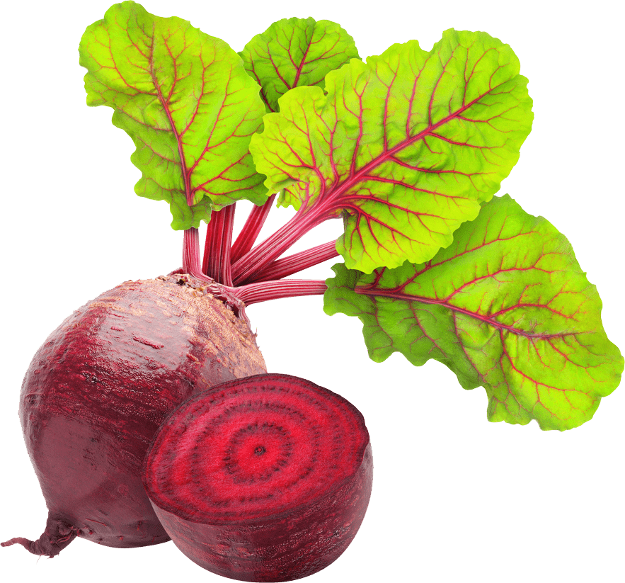 Beetroot PNG Pic