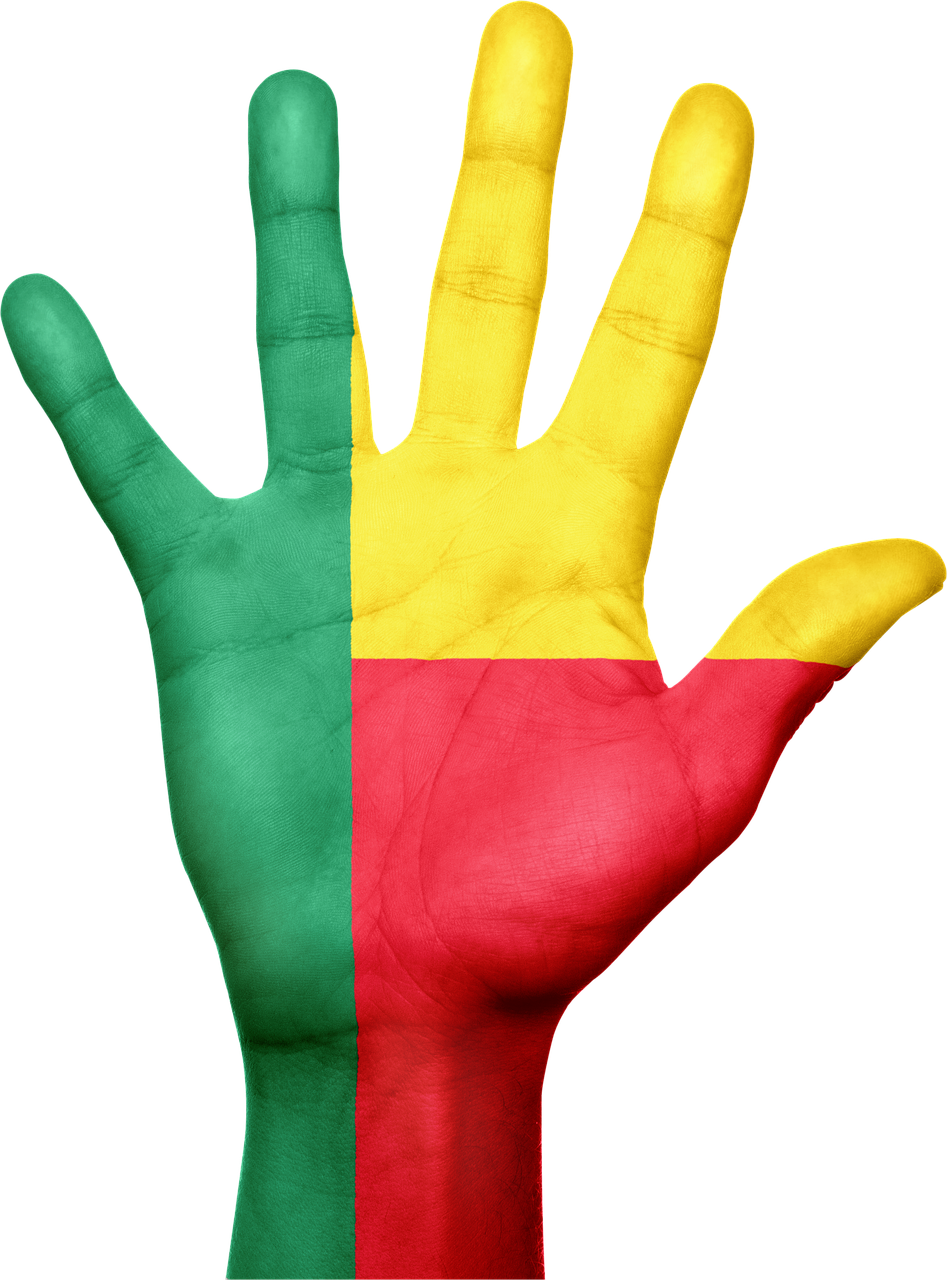 Benin Flag PNG Pic