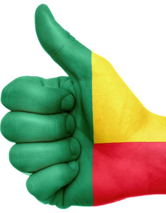 Benin Flag PNG Picture