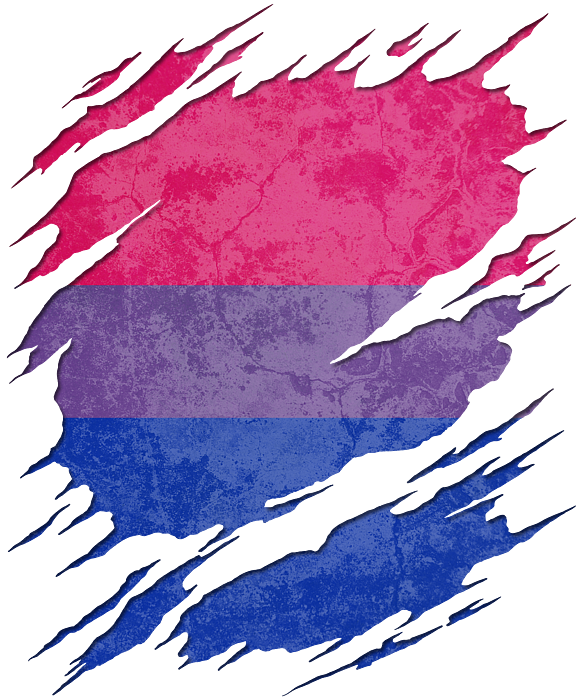 Bisexual Flag PNG Isolated Photo