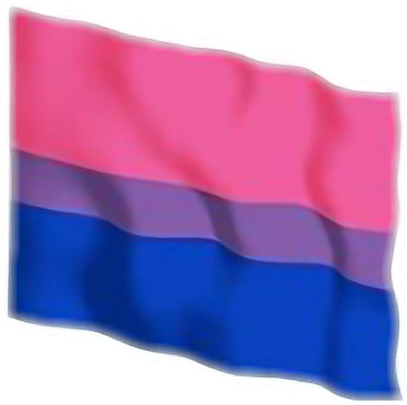 Bisexual Flag PNG Isolated Pic