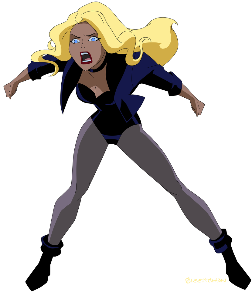 Black Canary PNG Image