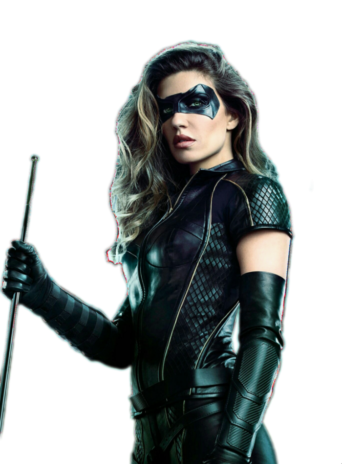 Black Canary PNG Isolated HD
