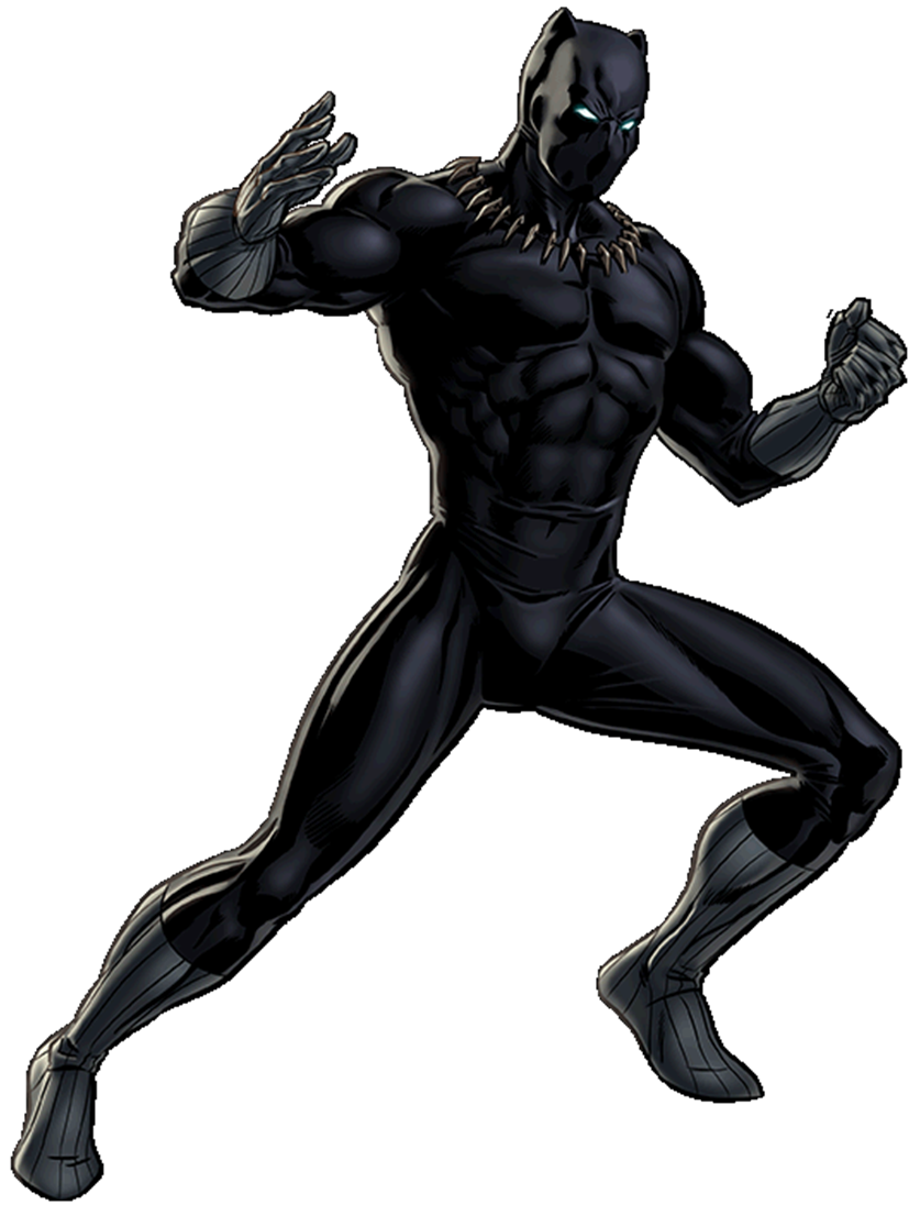 Black Panther Movie PNG Photo