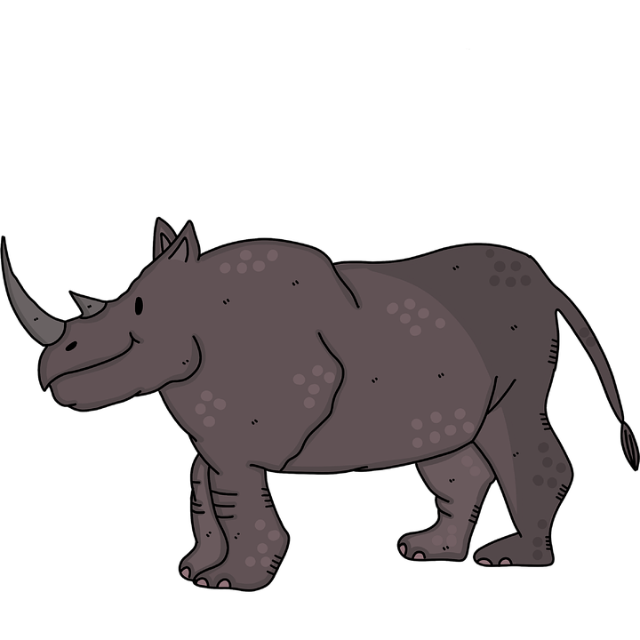 Black Rhinoceros PNG Picture