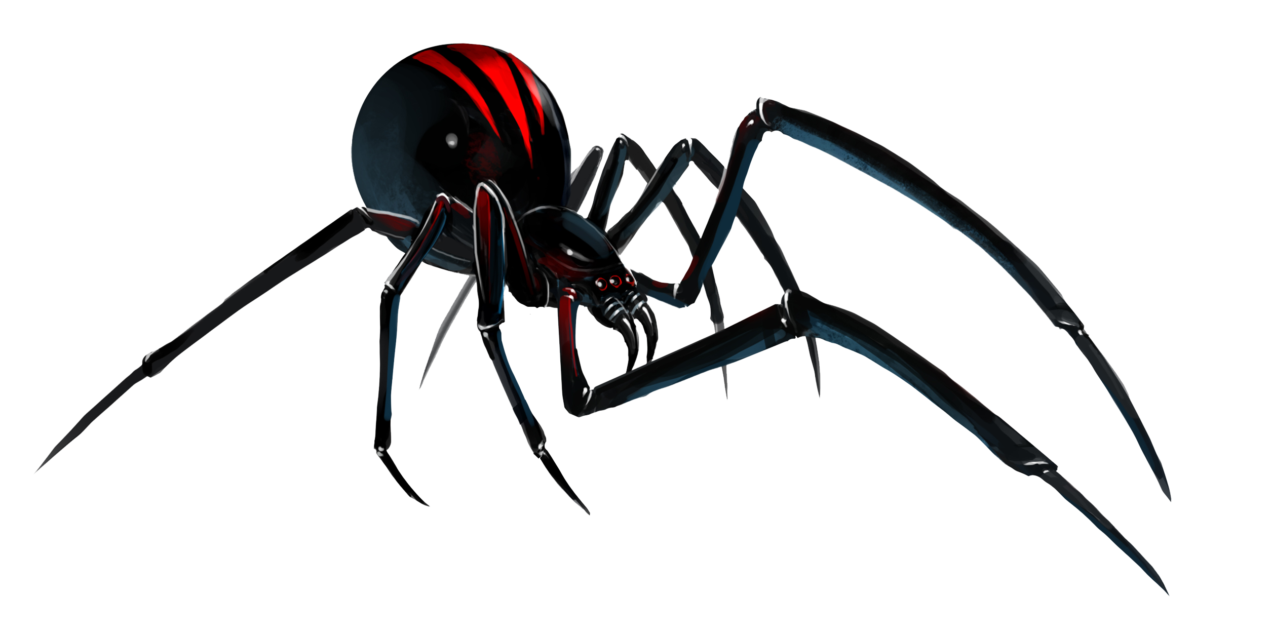 Black Widow Spiders PNG Isolated HD