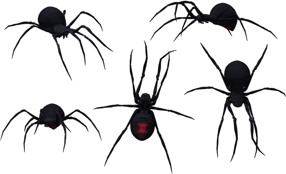 Black Widow Spiders PNG Transparent