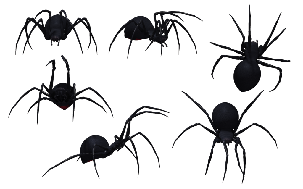 Black Widow Spiders Transparent PNG