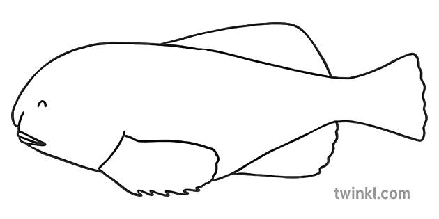 Blob Fish PNG File