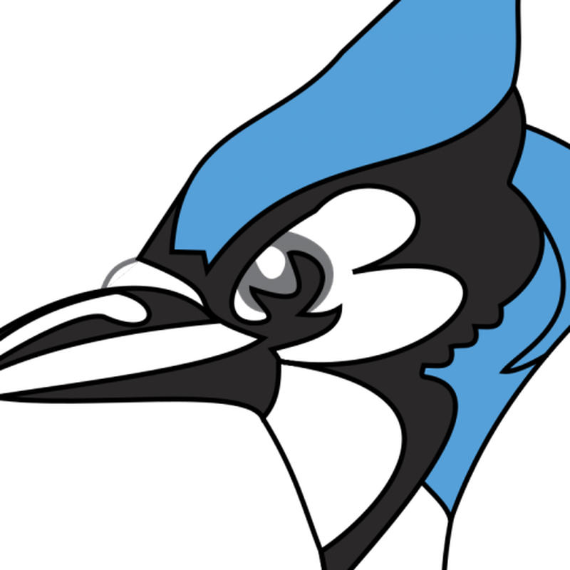 Blue Jay PNG Clipart