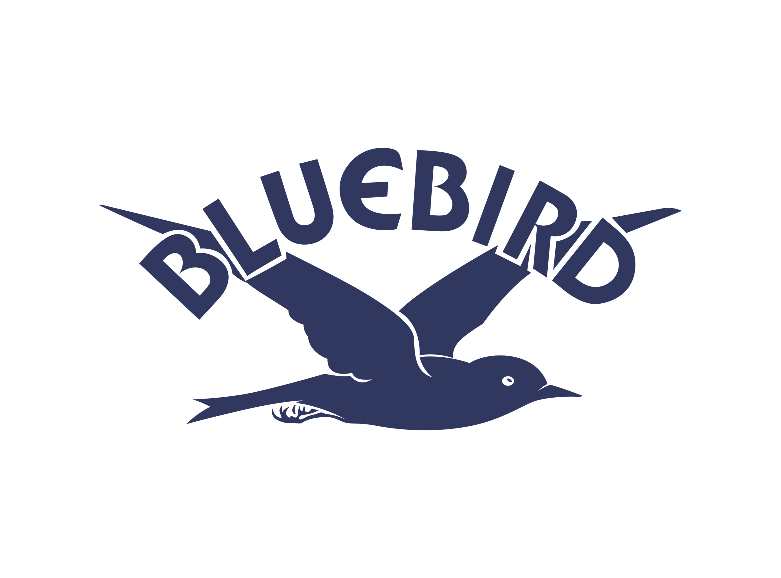 Bluebird Transparent PNG