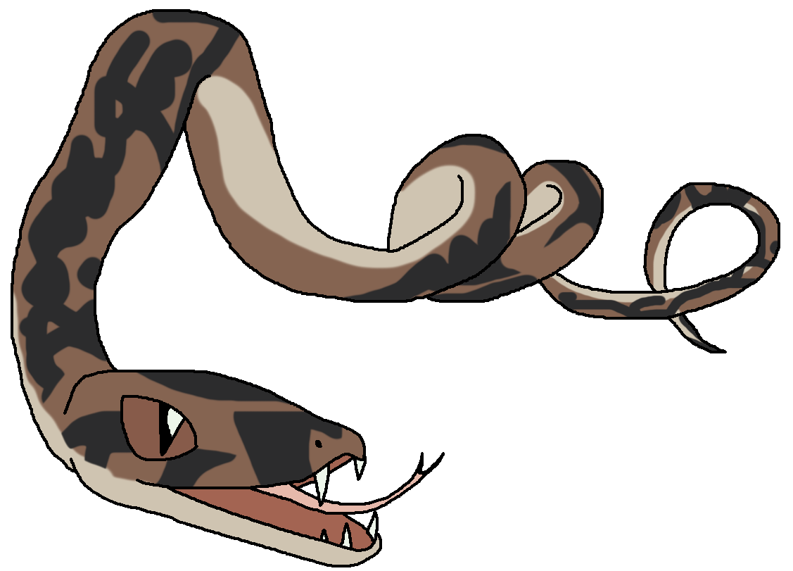 Boa Constrictor PNG Isolated Photo
