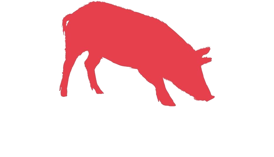 Boar PNG Background Isolated Image