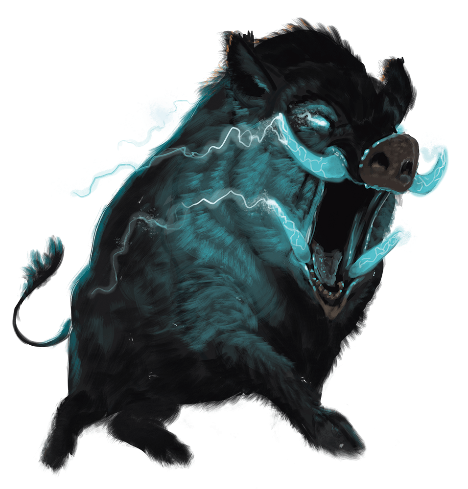 Boar PNG HD Isolated