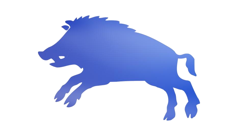 Boar PNG Isolated Free Download