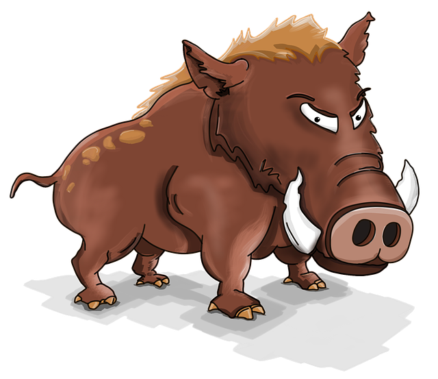 Boar PNG Isolated Image