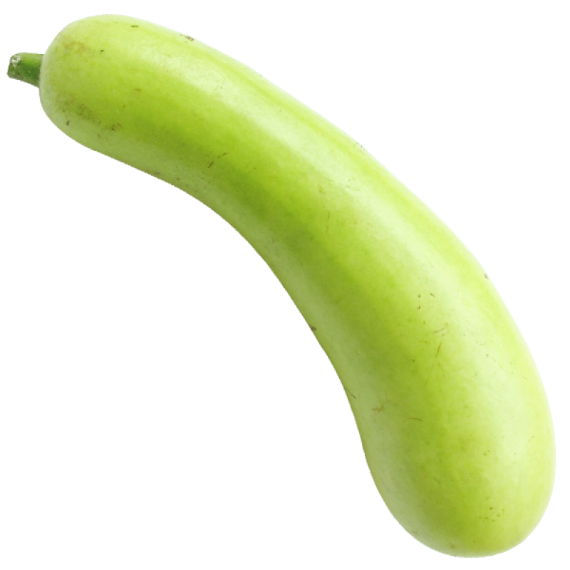 Bottle Gourd PNG Isolated File