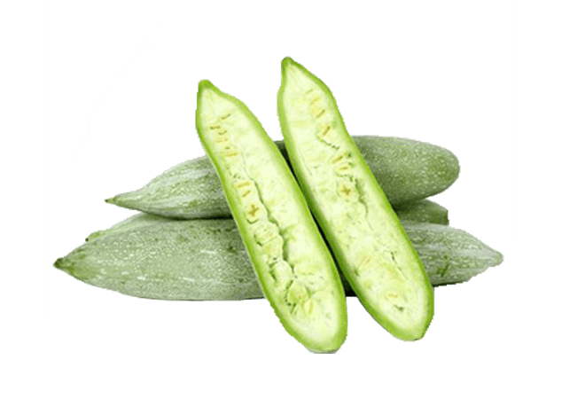 Bottle Gourd PNG Photo