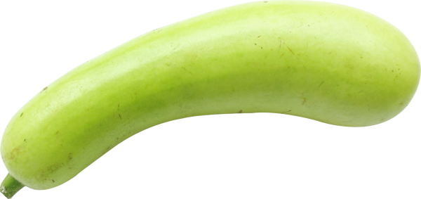 Bottle Gourd PNG Picture