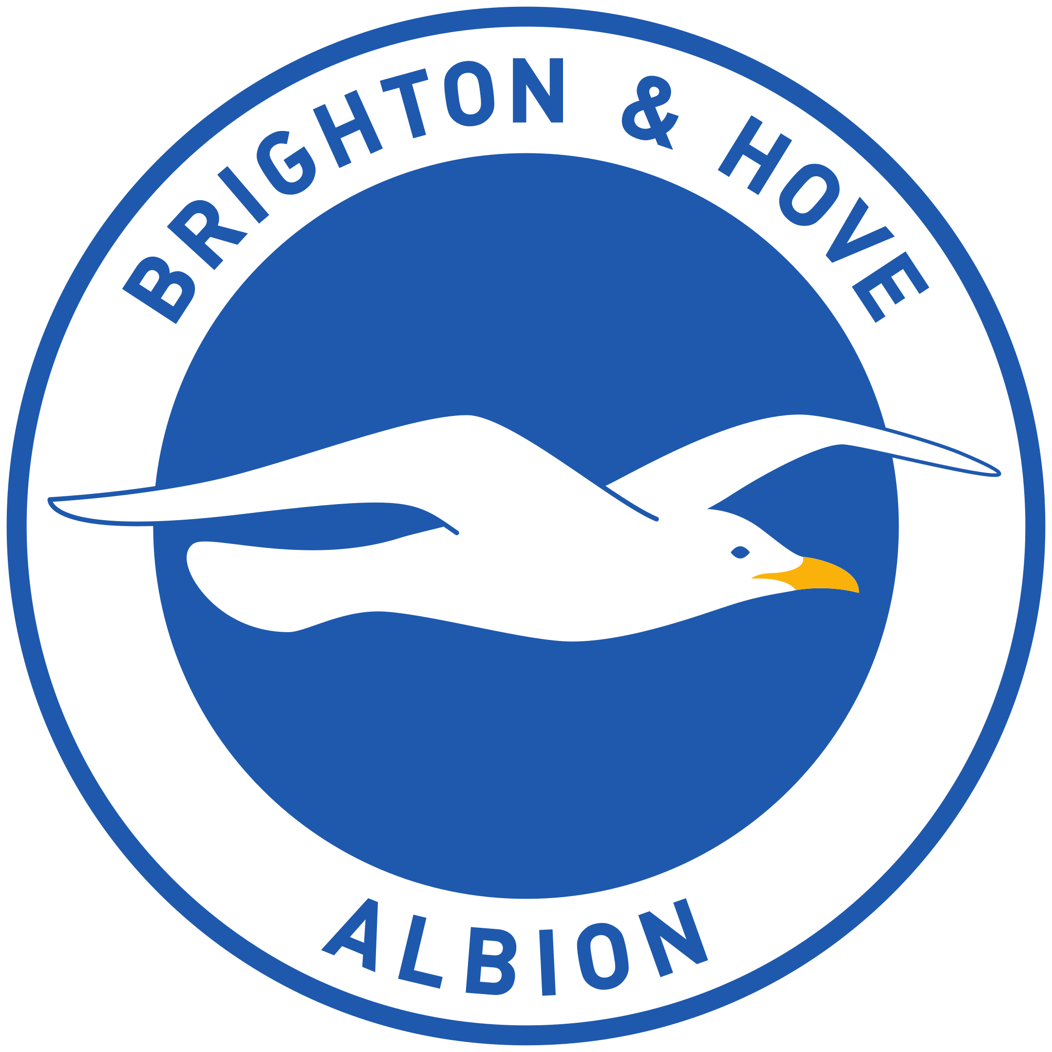 Brighton And Hove Albion PNG Pic