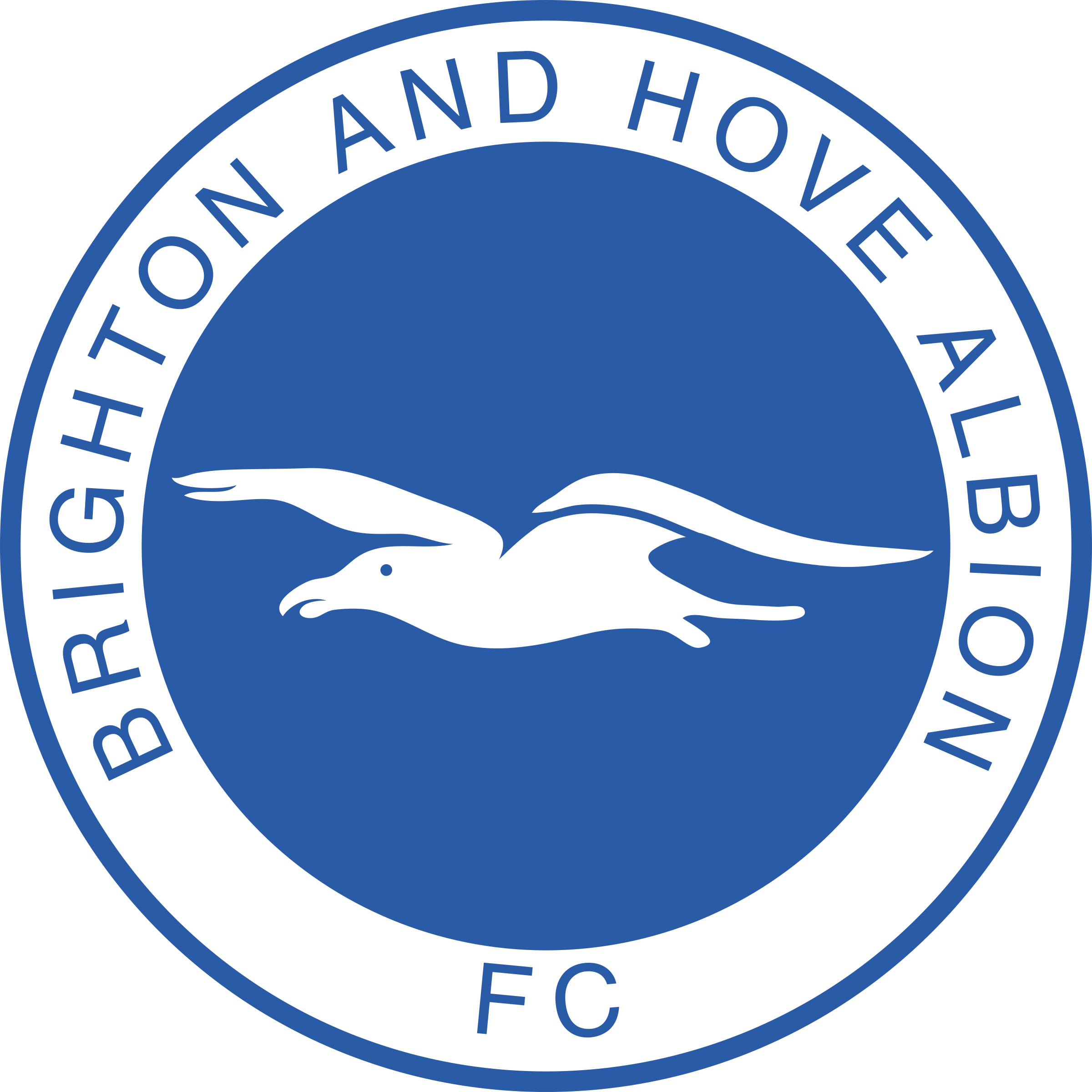 Brighton And Hove Albion PNG
