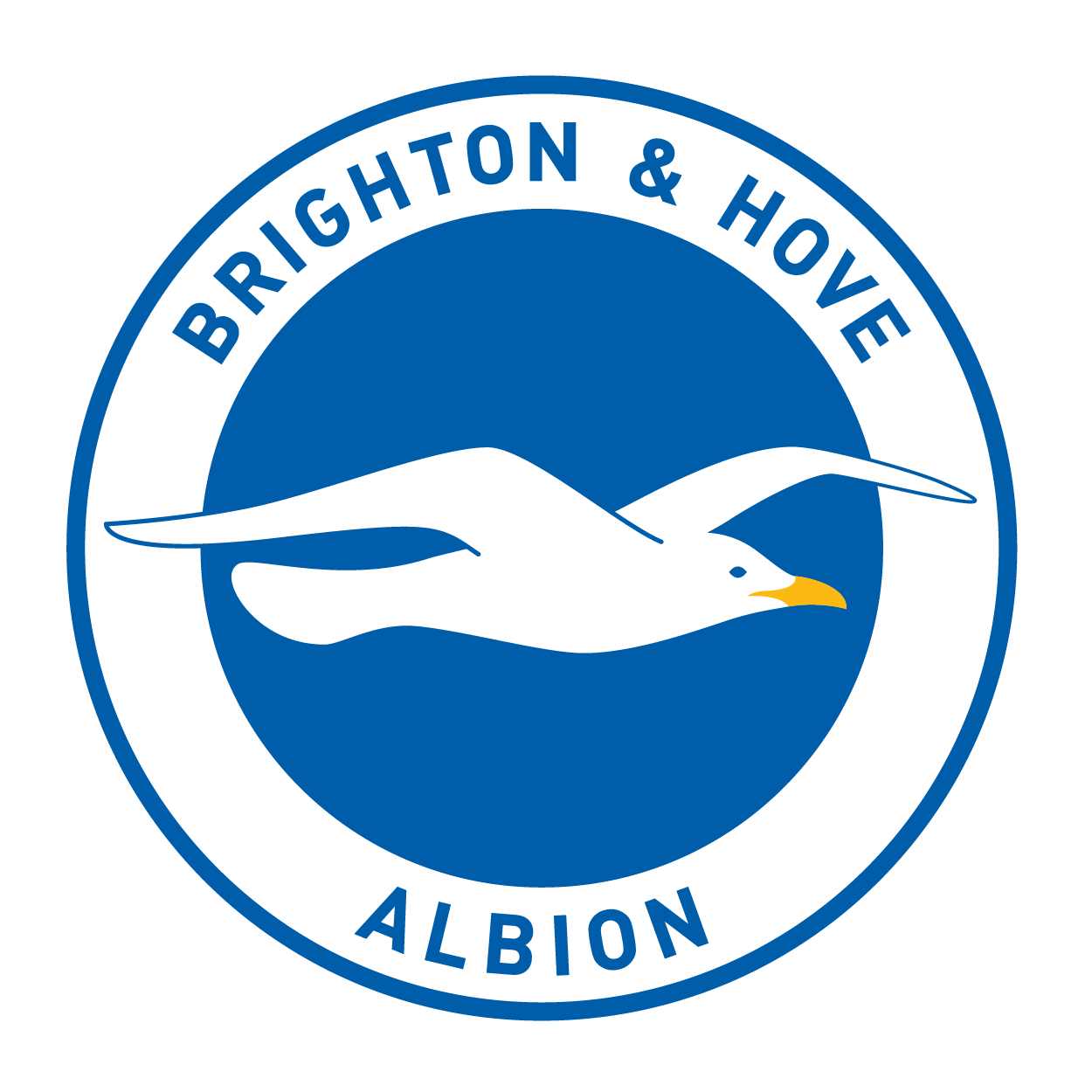 Brighton Flag PNG