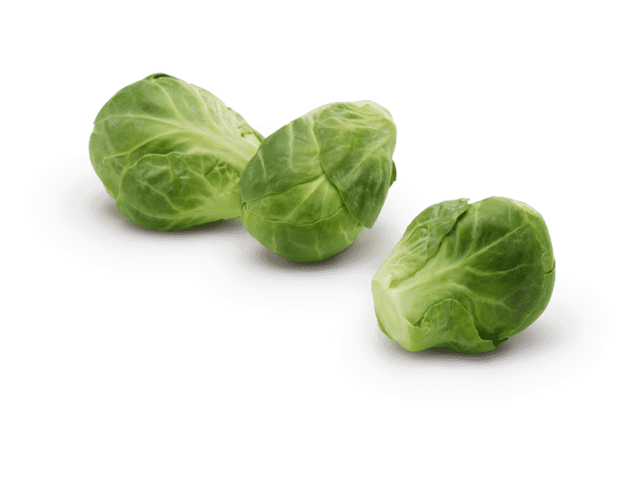 Brussel sprout PNG Image