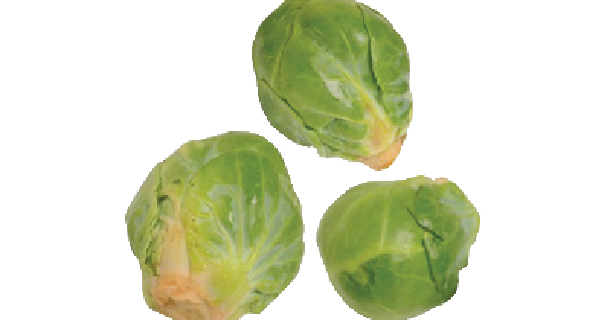 Brussel sprout PNG Picture