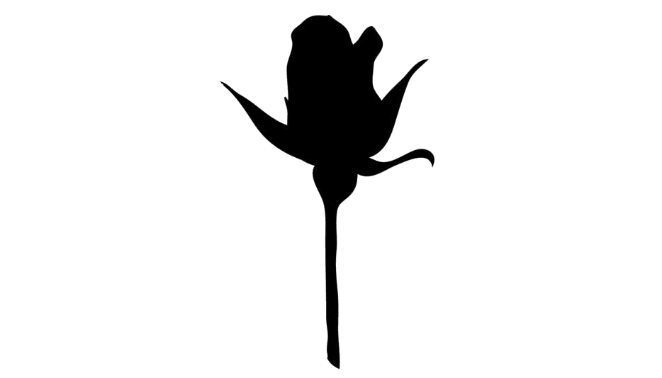 Bud PNG Picture